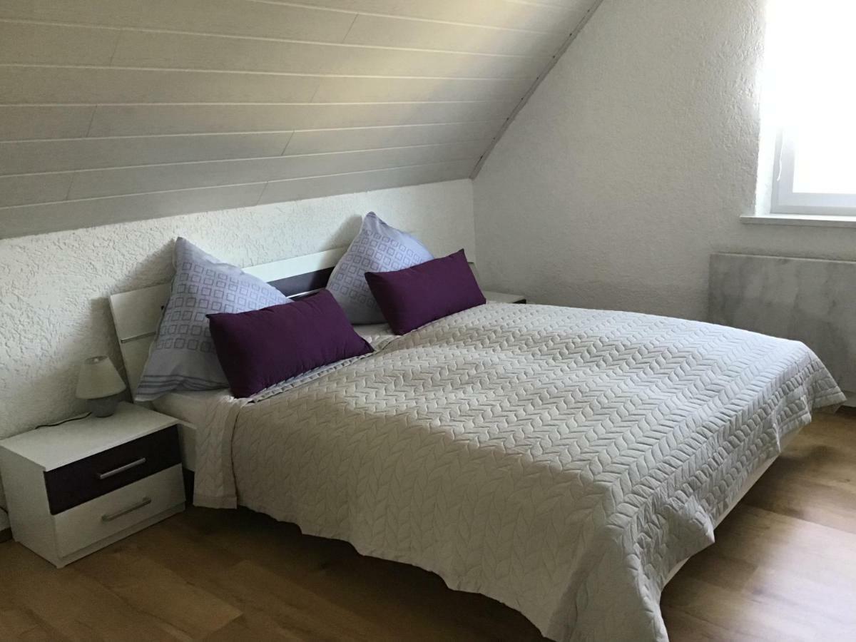 Ferienwohnung Elina Maxhutte-Haidhof ภายนอก รูปภาพ